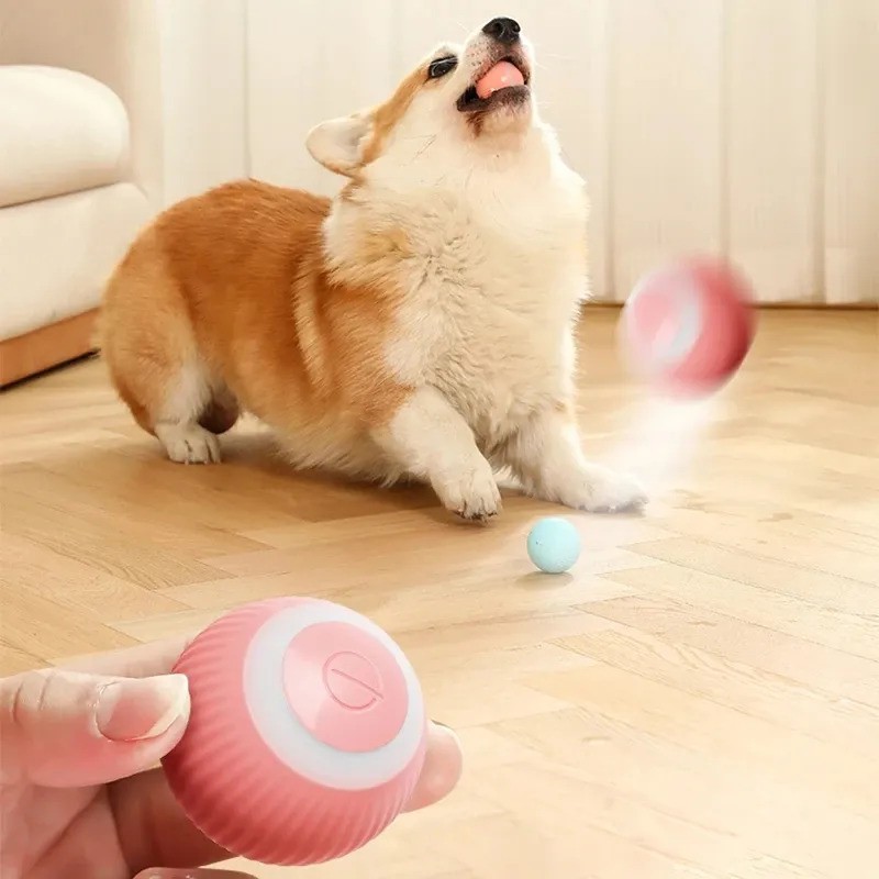 pelota Vista 3