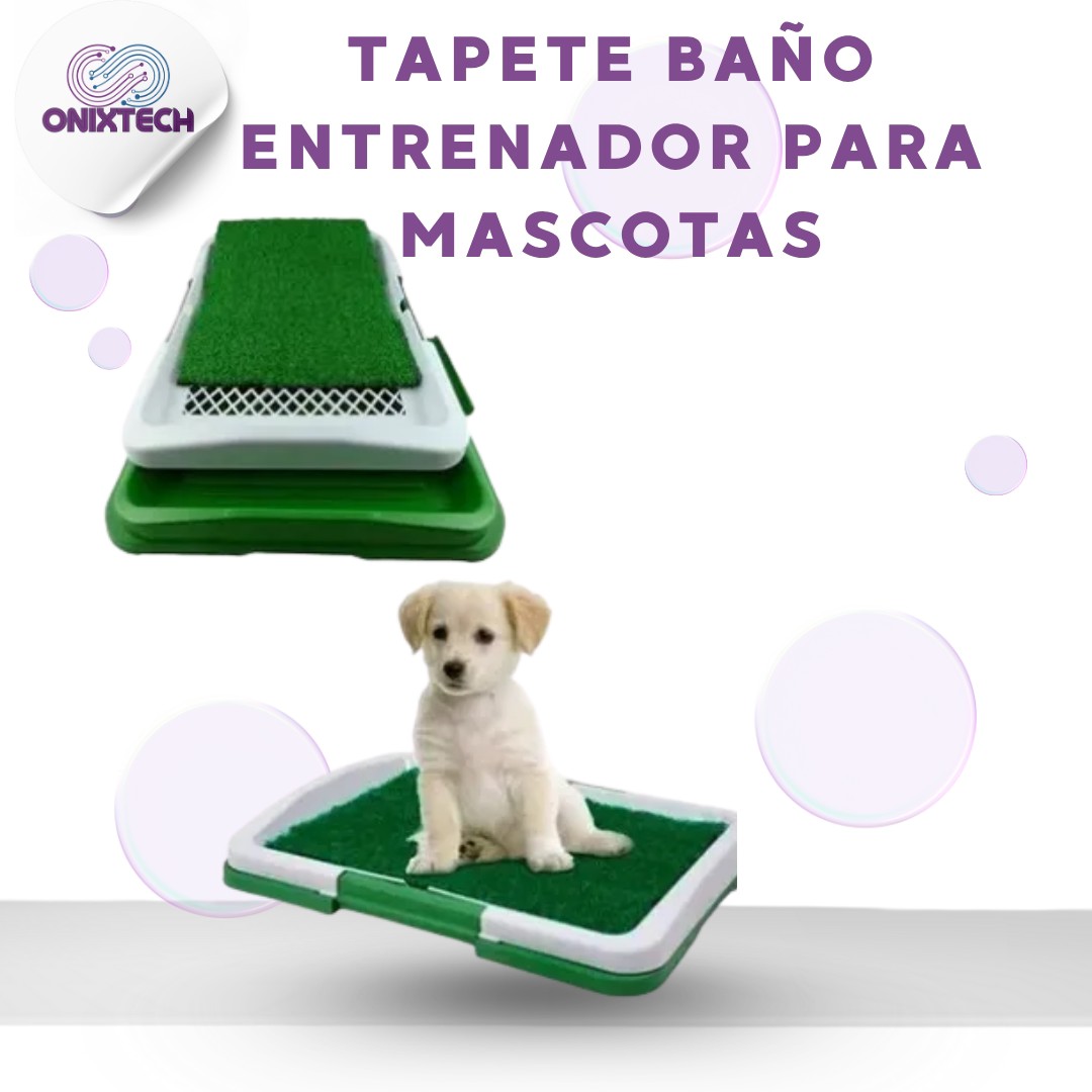 tapete Vista 1